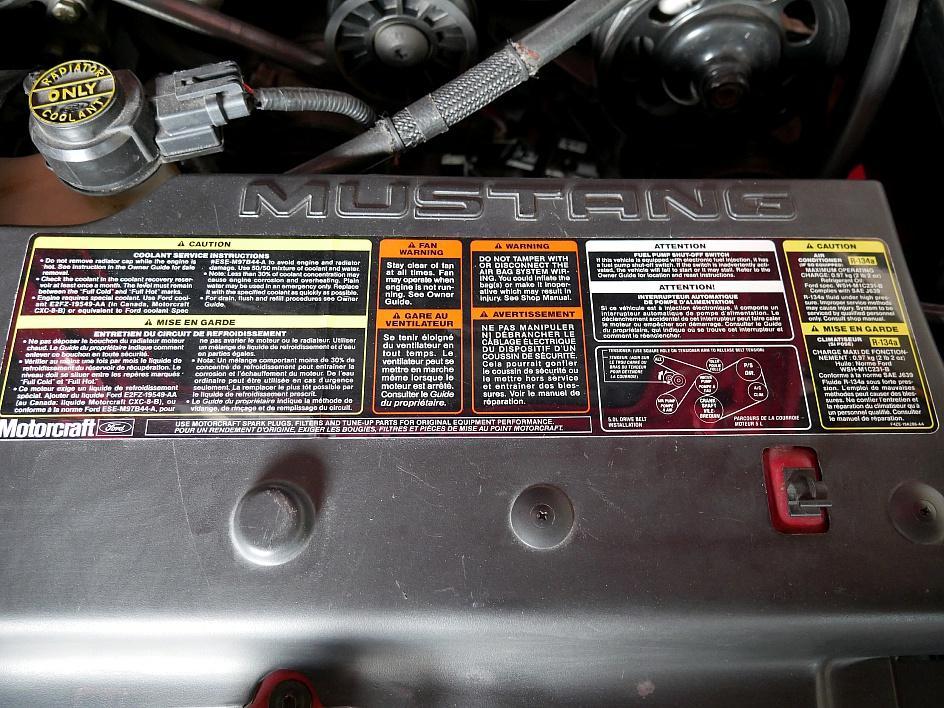 1995 Ford Saleen Mustang