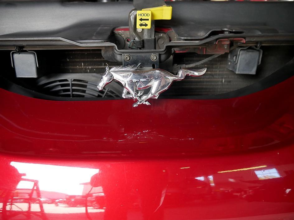 1995 Ford Saleen Mustang