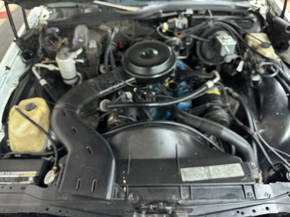 1979 Chevrolet Caprice