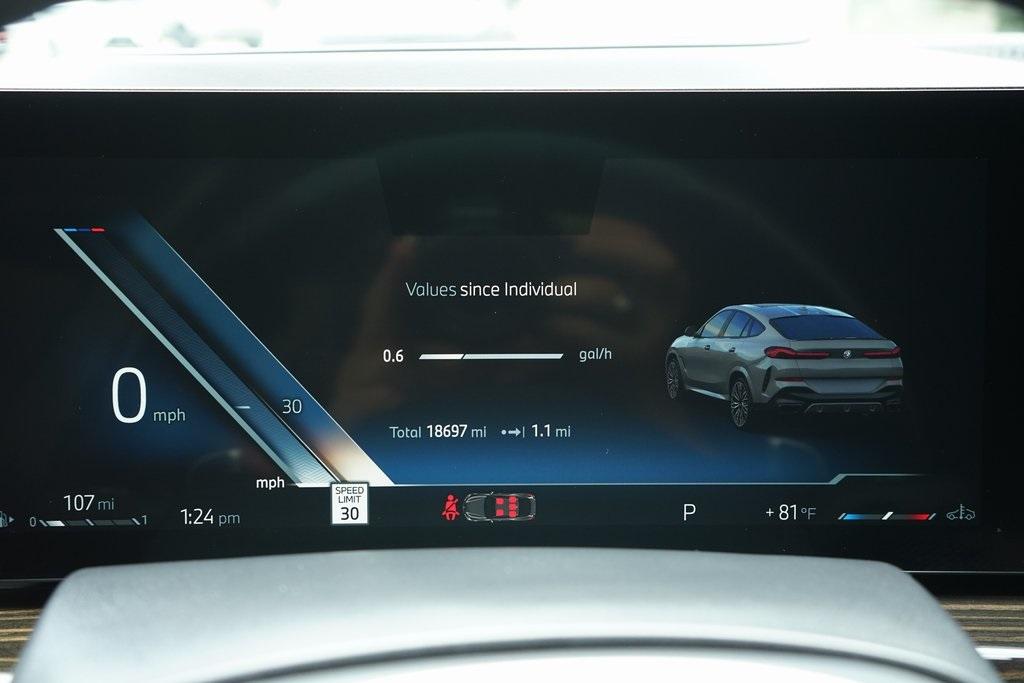 2025 BMW X6