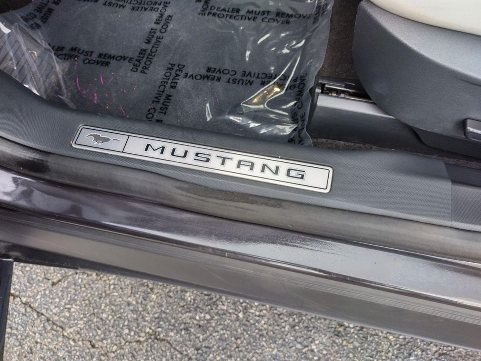 2022 Ford Mustang Mach-E