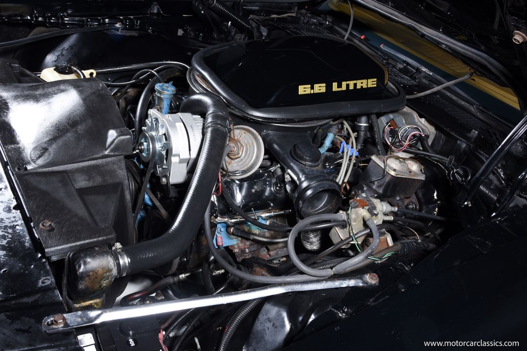 1979 Pontiac Firebird