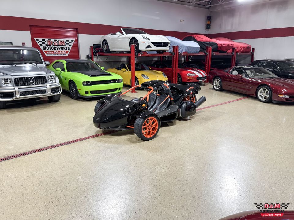 2025 Campagna T-Rex