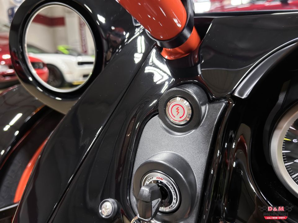 2025 Campagna T-Rex