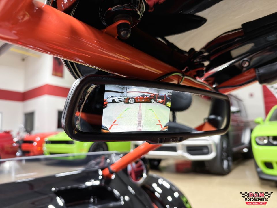 2025 Campagna T-Rex