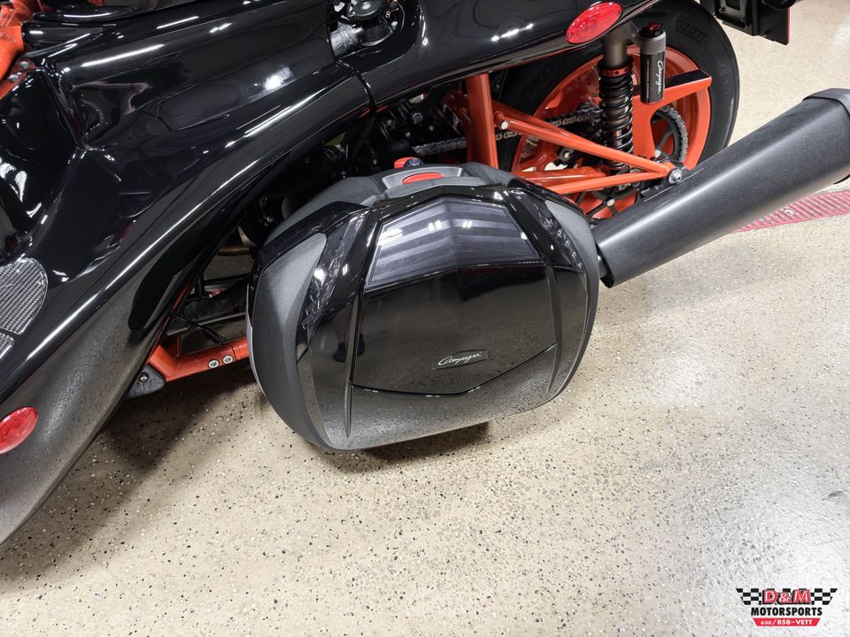 2025 Campagna T-Rex