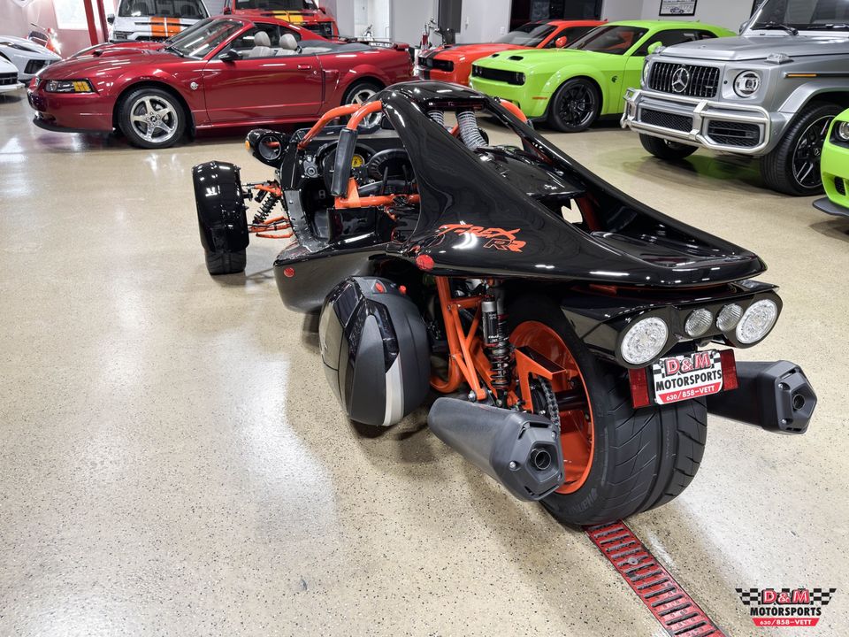 2025 Campagna T-Rex