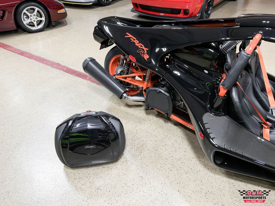 2025 Campagna T-Rex