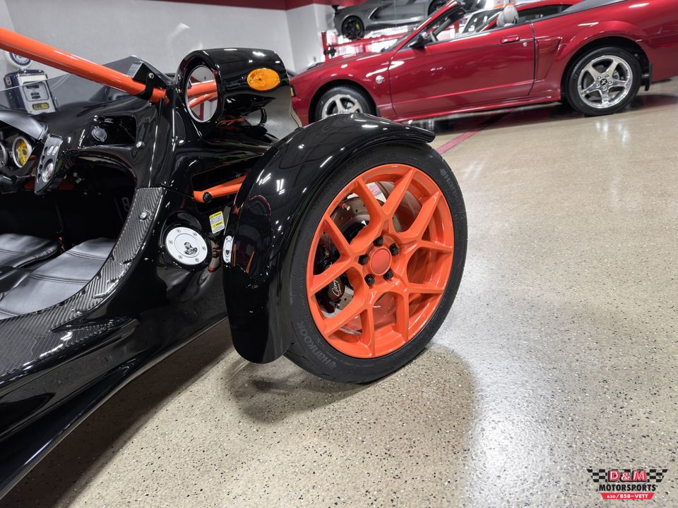 2025 Campagna T-Rex