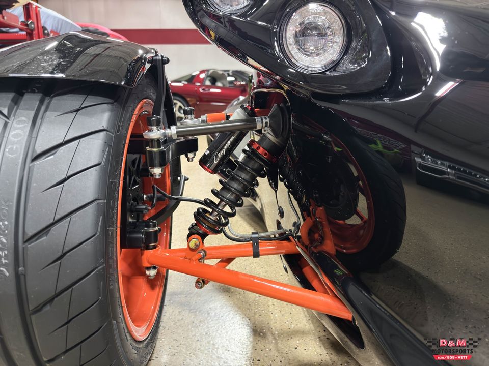 2025 Campagna T-Rex