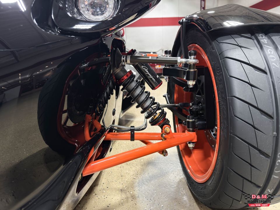 2025 Campagna T-Rex
