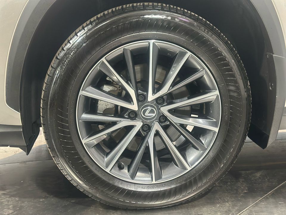 2024 Lexus NX 350