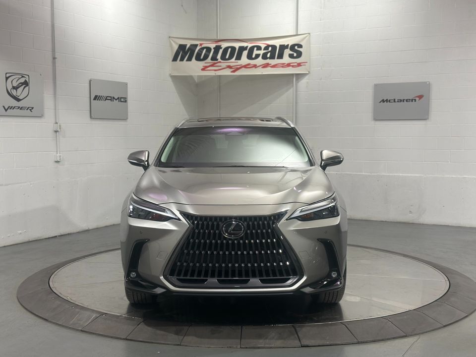 2024 Lexus NX 350