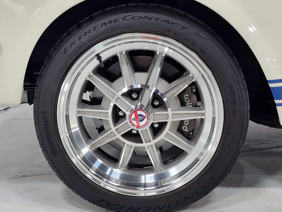 2022 REVOLOGY SHELBY