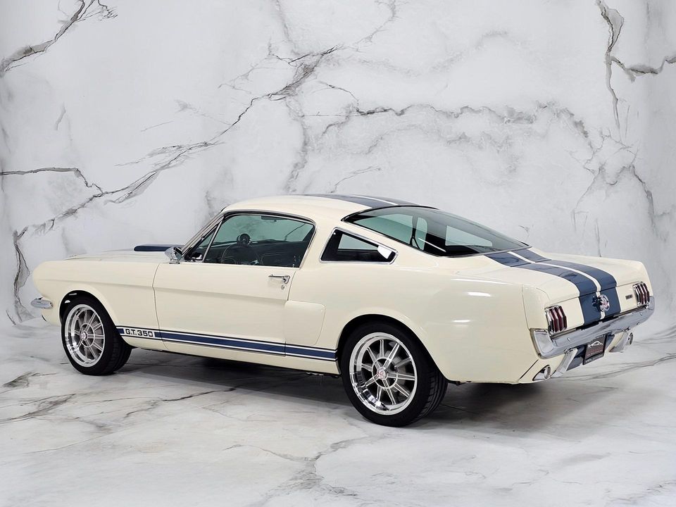 2022 REVOLOGY SHELBY