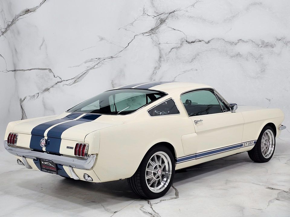 2022 REVOLOGY SHELBY