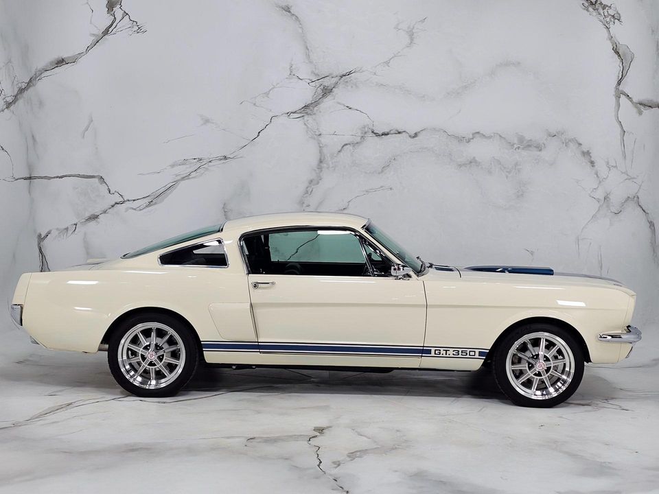 2022 REVOLOGY SHELBY