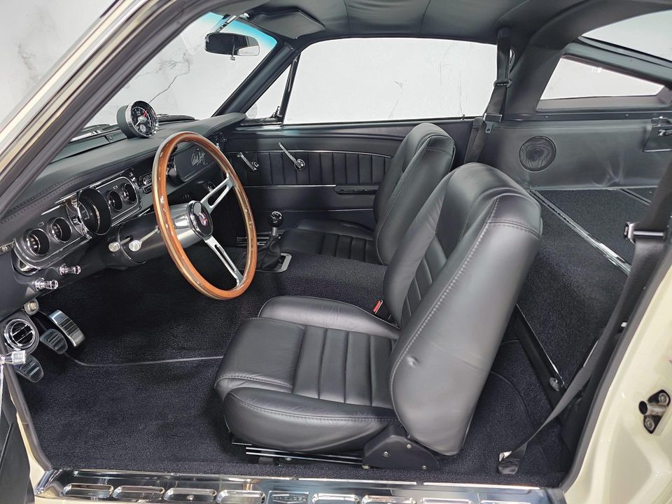 2022 REVOLOGY SHELBY