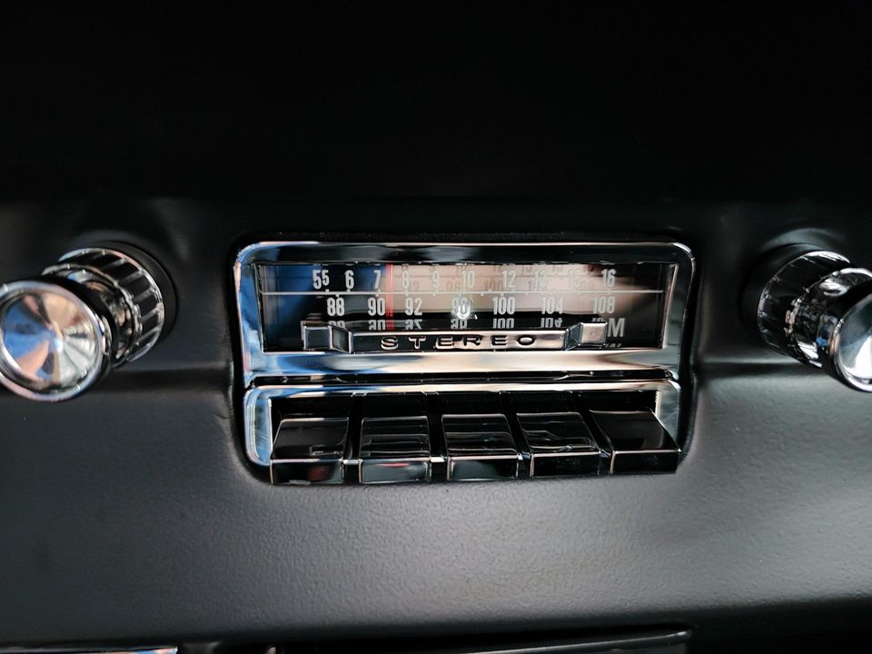 2022 REVOLOGY SHELBY