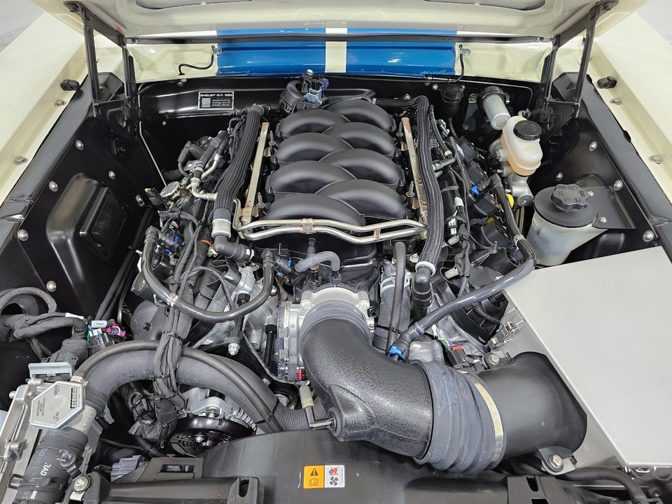 2022 REVOLOGY SHELBY