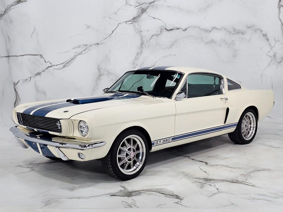 2022 REVOLOGY SHELBY