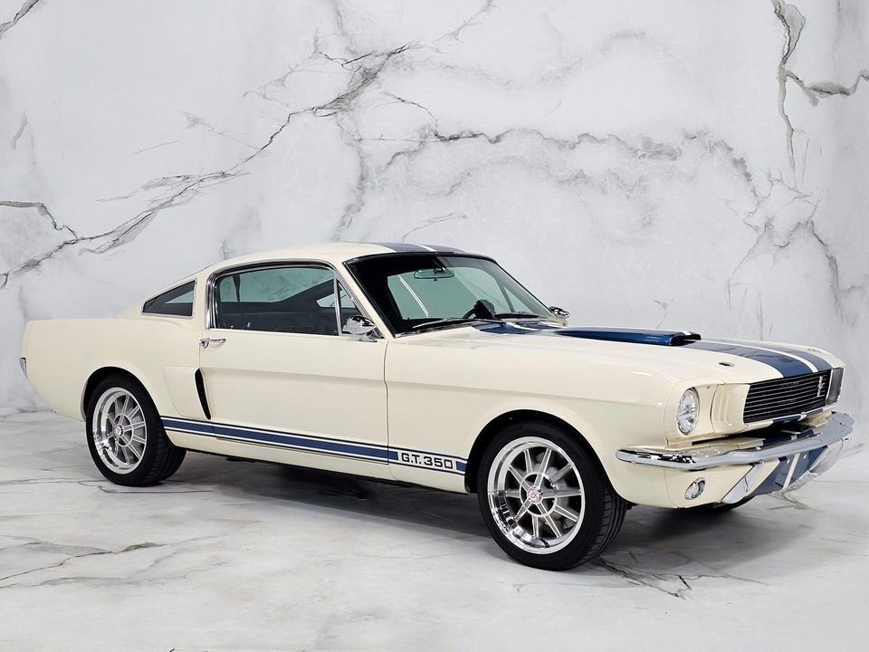 2022 REVOLOGY SHELBY