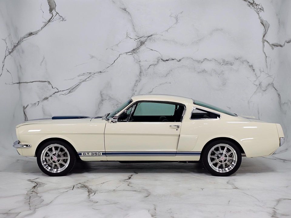 2022 REVOLOGY SHELBY