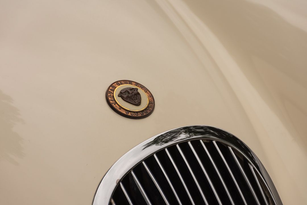 1951 Jaguar XK120