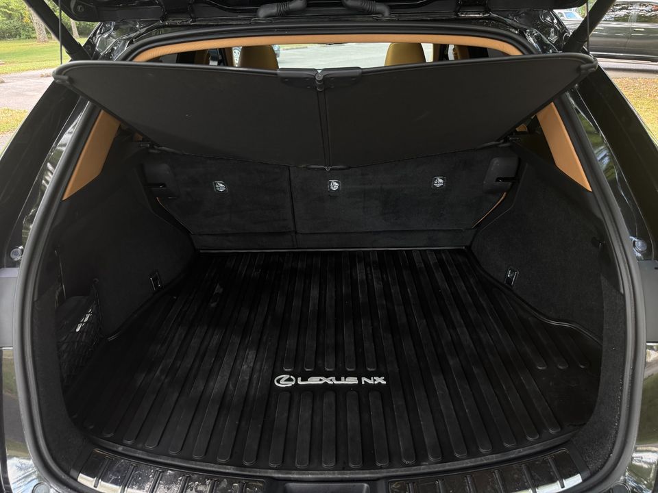 2025 Lexus NX 350h
