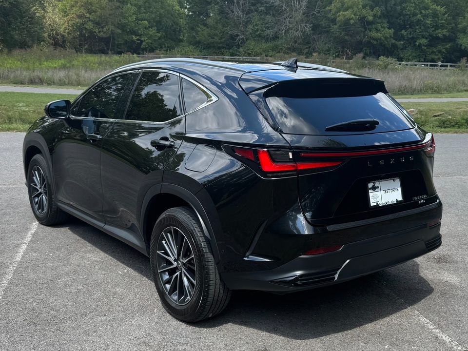 2025 Lexus NX 350h