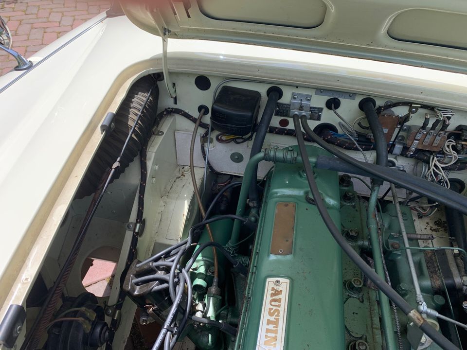 1963 Austin Healey