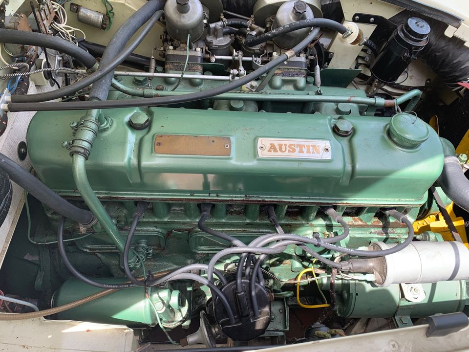 1963 Austin Healey