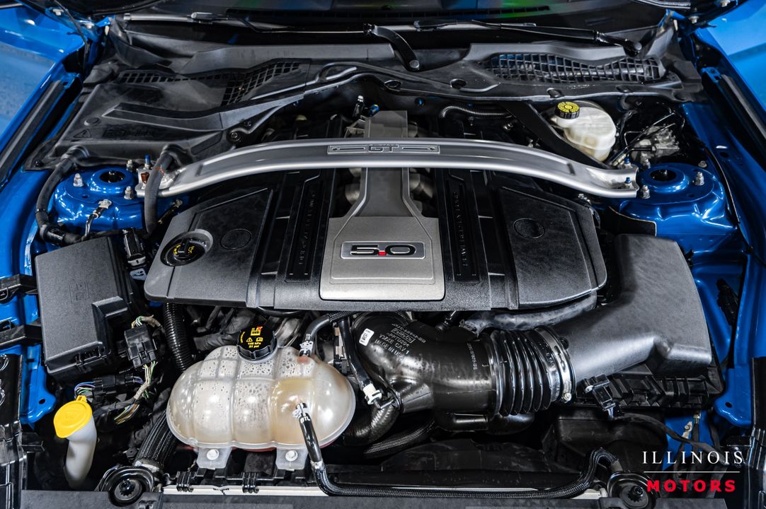 2019 Ford Mustang
