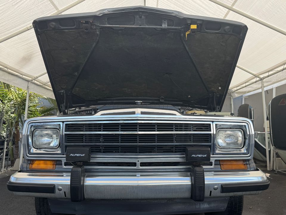 1989 Jeep Grand Wagoneer