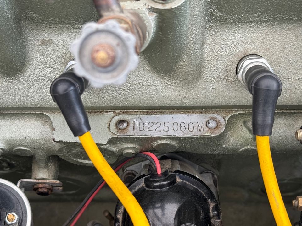 1955 AUSTIN HEALEY