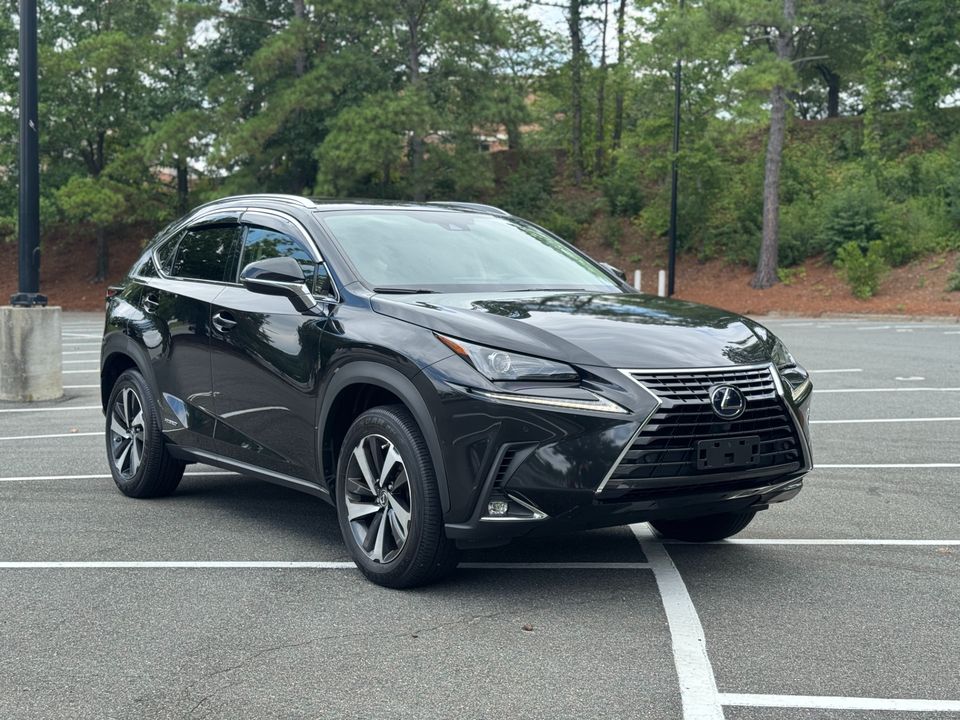 2021 Lexus NX 300h