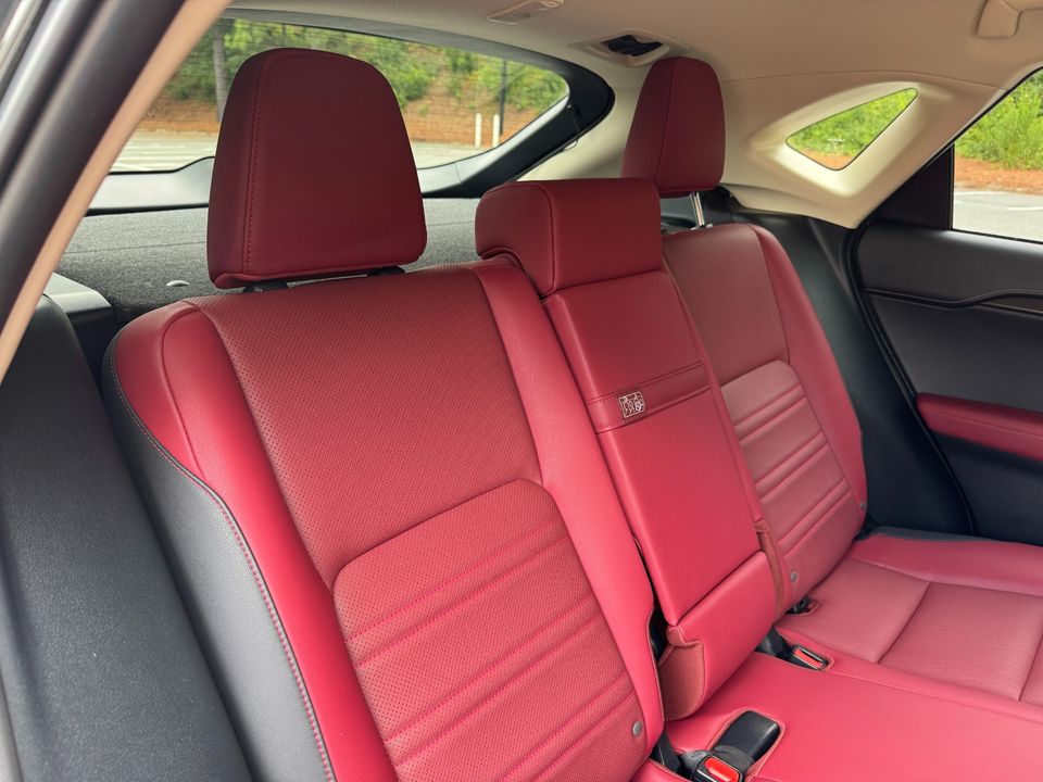 2021 Lexus NX 300h