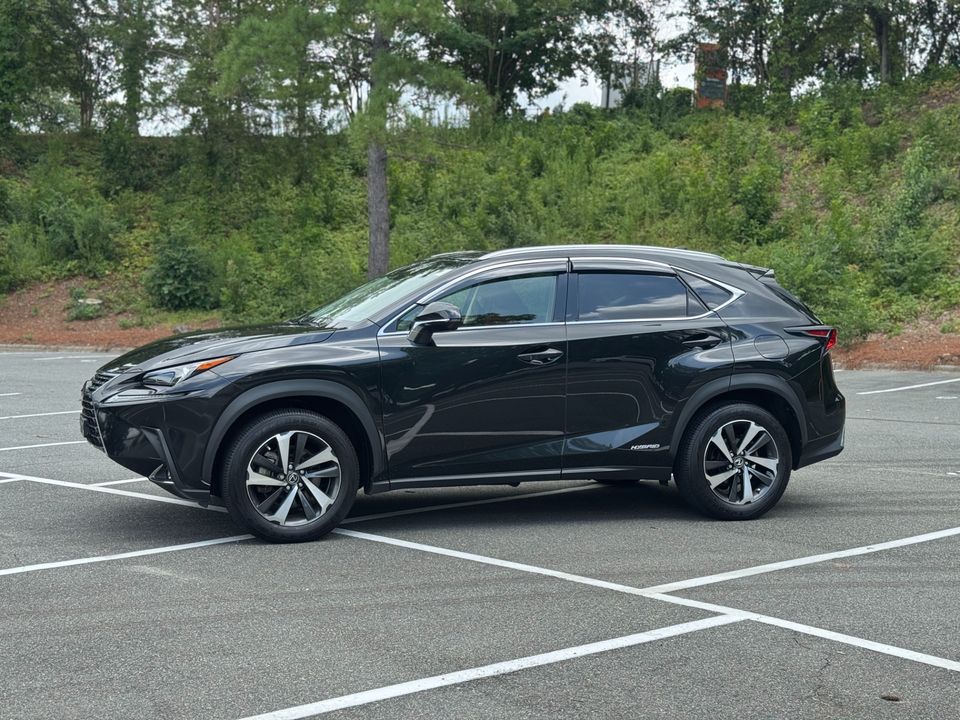 2021 Lexus NX 300h