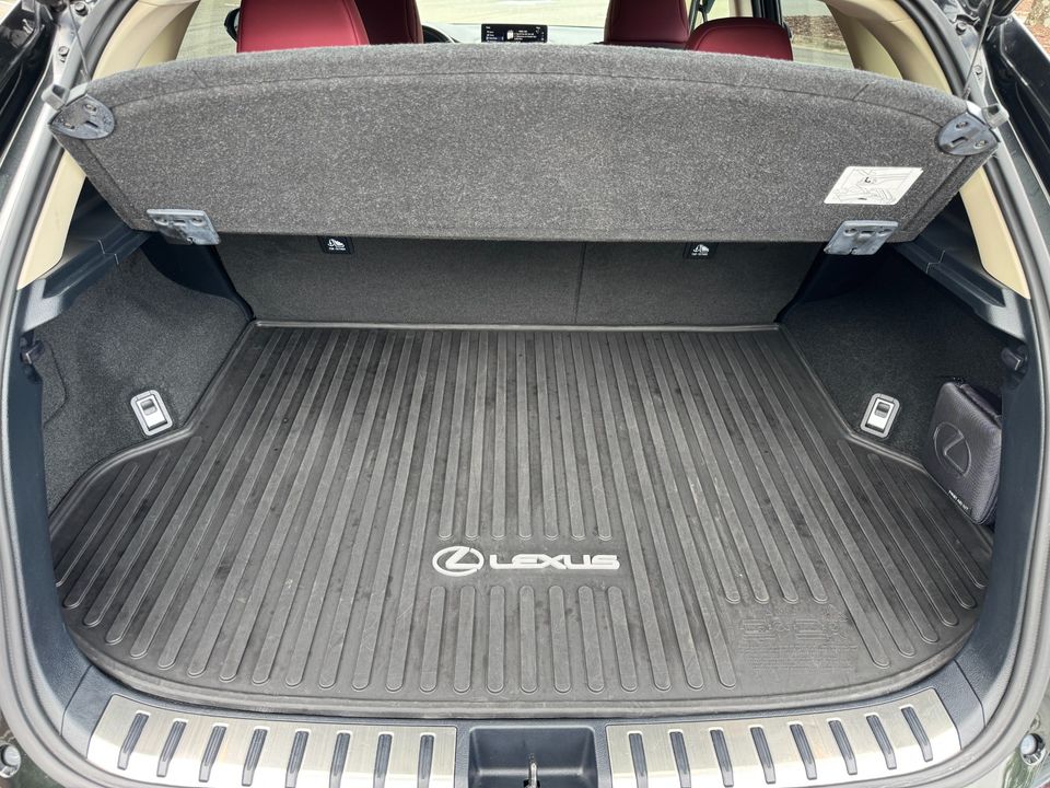 2021 Lexus NX 300h