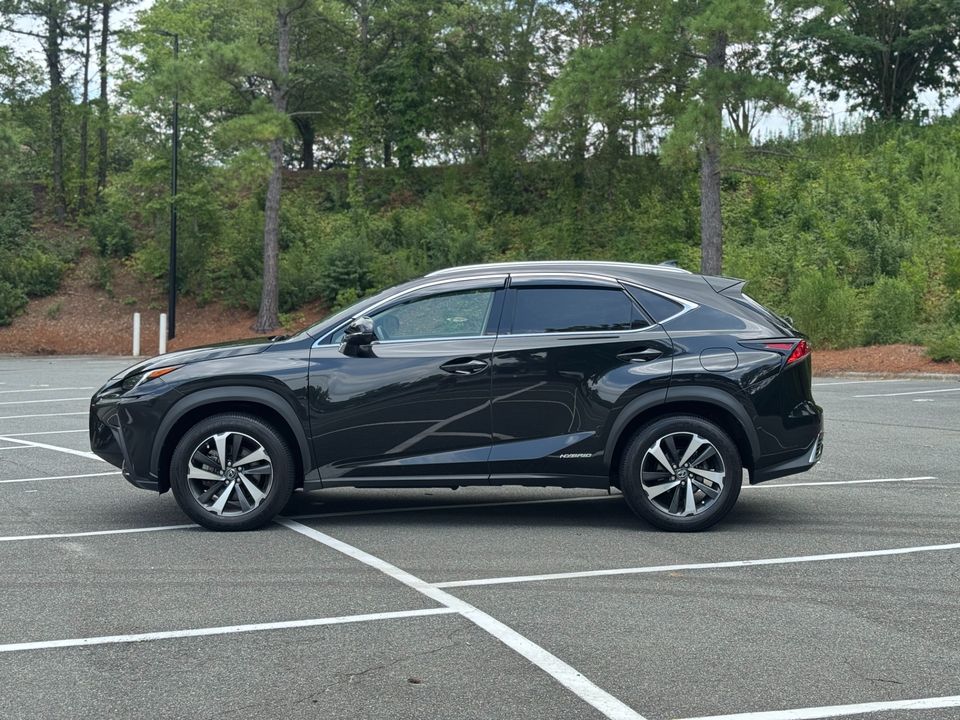 2021 Lexus NX 300h