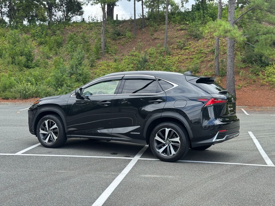 2021 Lexus NX 300h