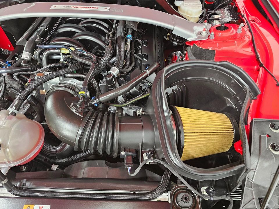2019 Ford Mustang