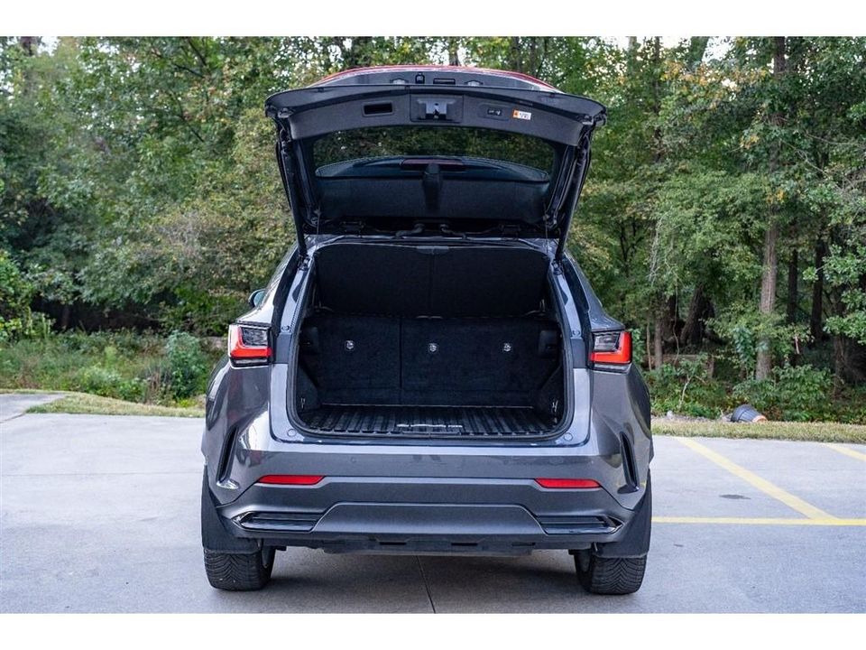 2024 Lexus NX