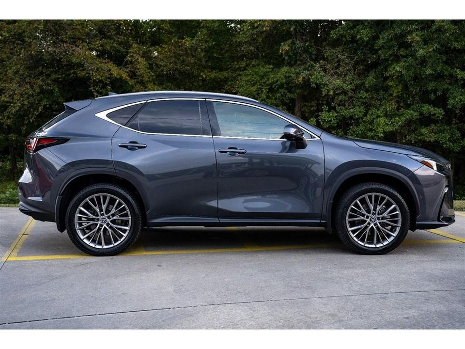 2024 Lexus NX