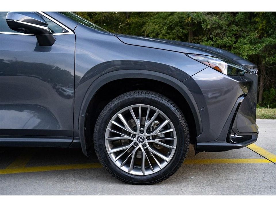 2024 Lexus NX
