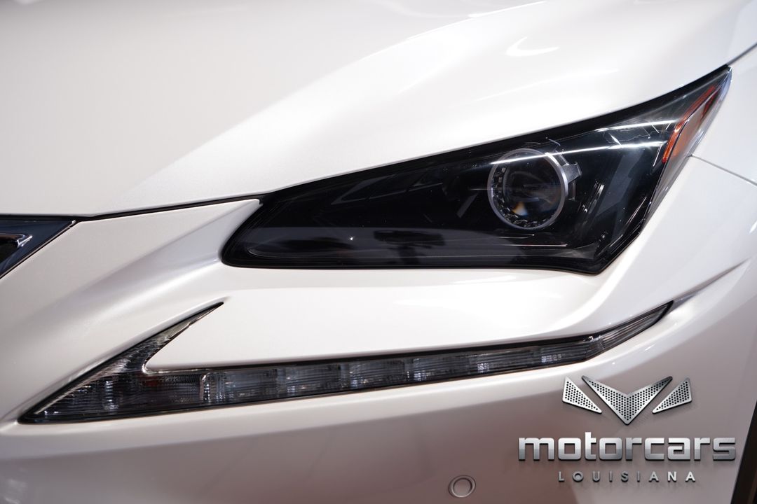 2019 Lexus NX 300