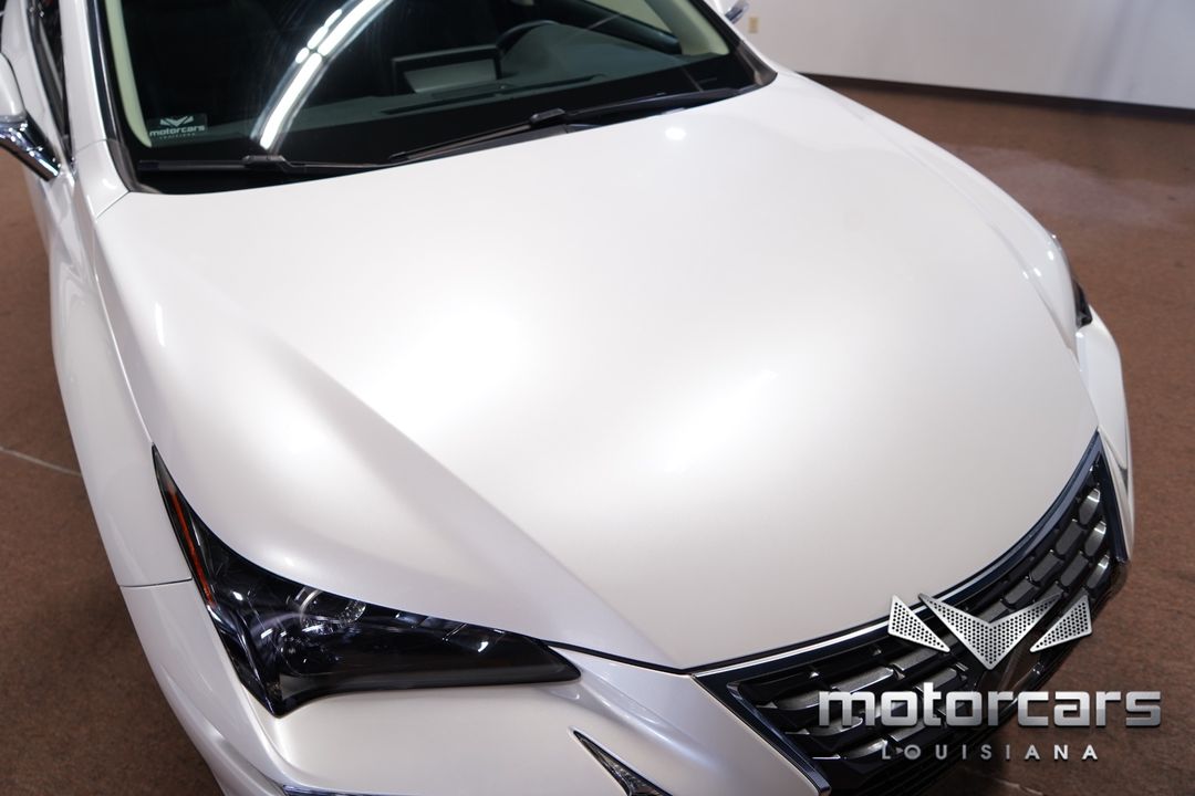 2019 Lexus NX 300