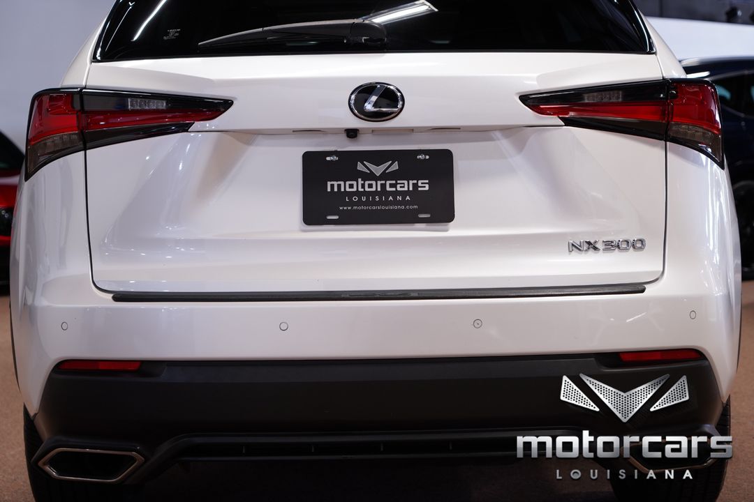 2019 Lexus NX 300