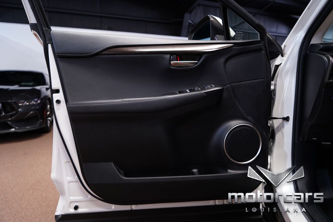 2019 Lexus NX 300