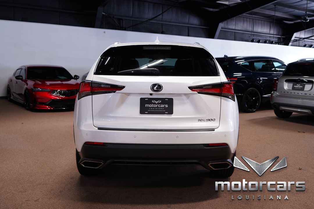 2019 Lexus NX 300